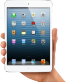 ipadMini